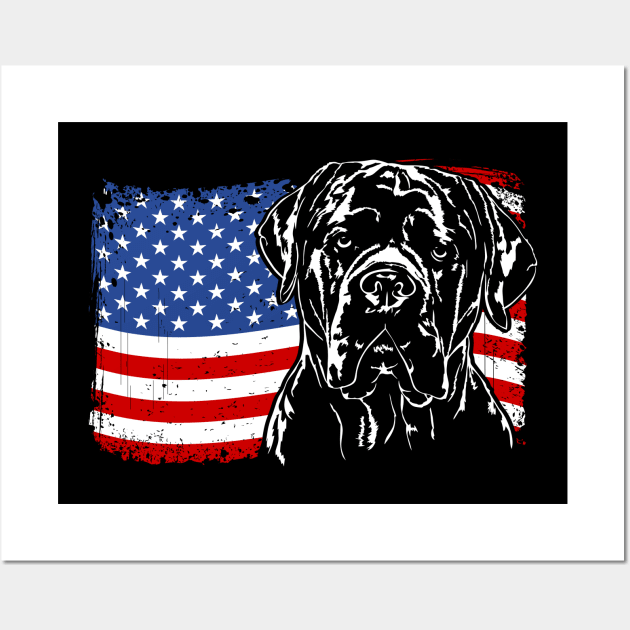 American corso best sale dog